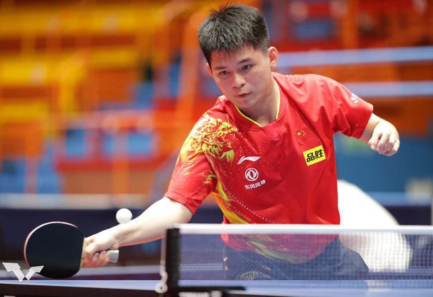 成你来我往 成你来我往